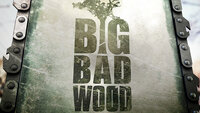 Big Bad Wood