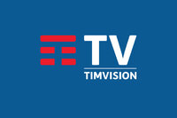 TIMvision