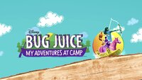 Bug Juice: My Adventures at Camp