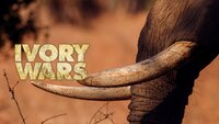 Ivory Wars