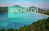 Bachelor in Paradise