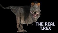 The Real T.Rex