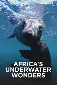Africa's Underwater Wonders