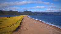 Cape Breton Island