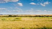 Saskatchewan Prairie