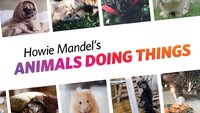 Howie Mandel's Animals Doing Things