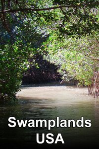 Swamplands USA