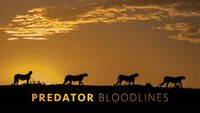 Predator Bloodlines