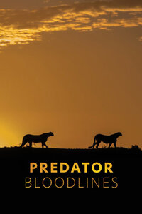 Predator Bloodlines