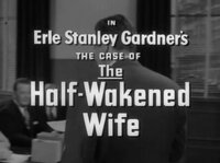 Erle Stanley Gardner's The Case of the Half-Wakened Wife