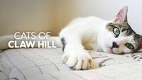 Cats of Claw Hill