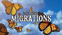 Secret Migrations