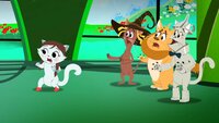Doggone Cat Crazy