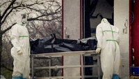 Pandemic Profiteers