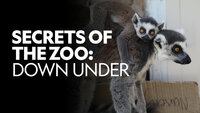 Taronga: Who's Who in the Zoo?