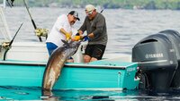 Fisherman's Friend
