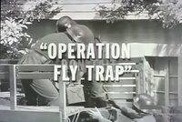 Operation Fly Trap