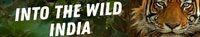 Into the Wild India