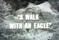 A Walk with an Eagle