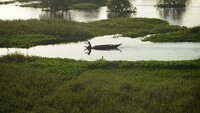 Tonle Sap