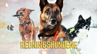 Redningshundene