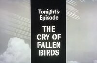The Cry of Fallen Birds