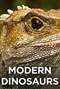 Modern Dinosaurs