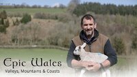 Epic Wales: Valleys, Mountains & Coasts