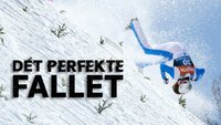 Det perfekte fallet