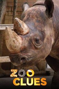 Zoo Clues