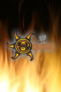 WWE Experience