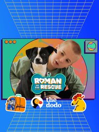 Roman to the Rescue
