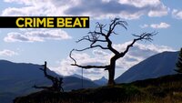 Crime Beat