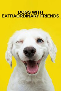 Dogs with Extraordinary Friends