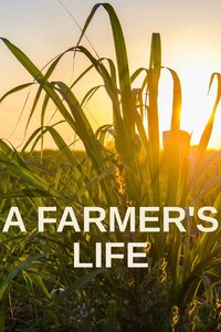 A Farmer's Life