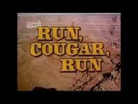 Run, Cougar, Run (1)