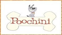 Poochini