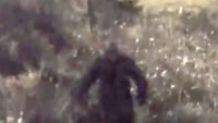 GoPro Captures Bigfoot in Ontario and More