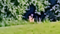 Shadow Figure in a New Jersey Backyard and More