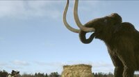 Dino in the Nest / Follow the Mammoth