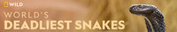 World's Deadliest Snakes