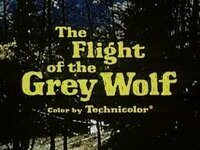The Flight of the Grey Wolf (1)