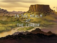 In the Realm of the Condor