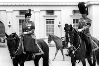 The Queen's Horses: Inside the Royal Stables