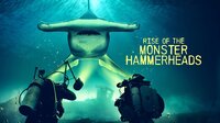 Rise of the Monster Hammerheads