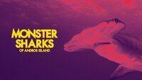 Monster Sharks of Andros Island