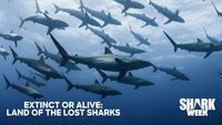 Extinct or Alive: Land of the Lost Sharks