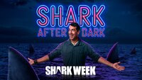 Shark After Dark
