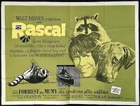 Rascal (2)