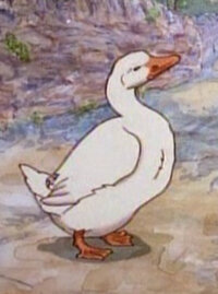 Mr. Drake Puddle-Duck